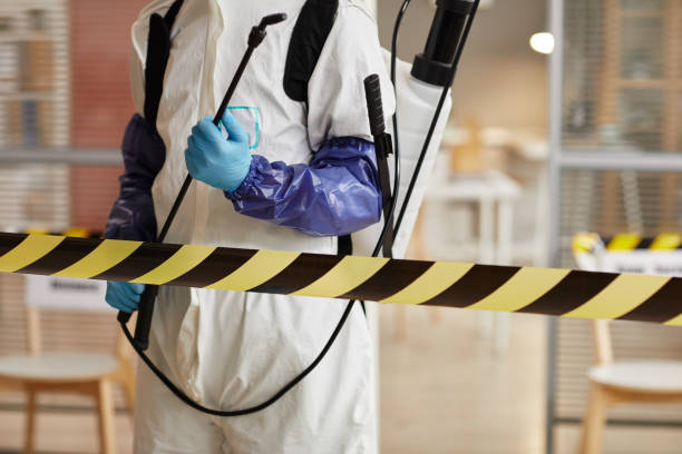 Professional Hoarding Cleanup technician working in Elmaton, TX